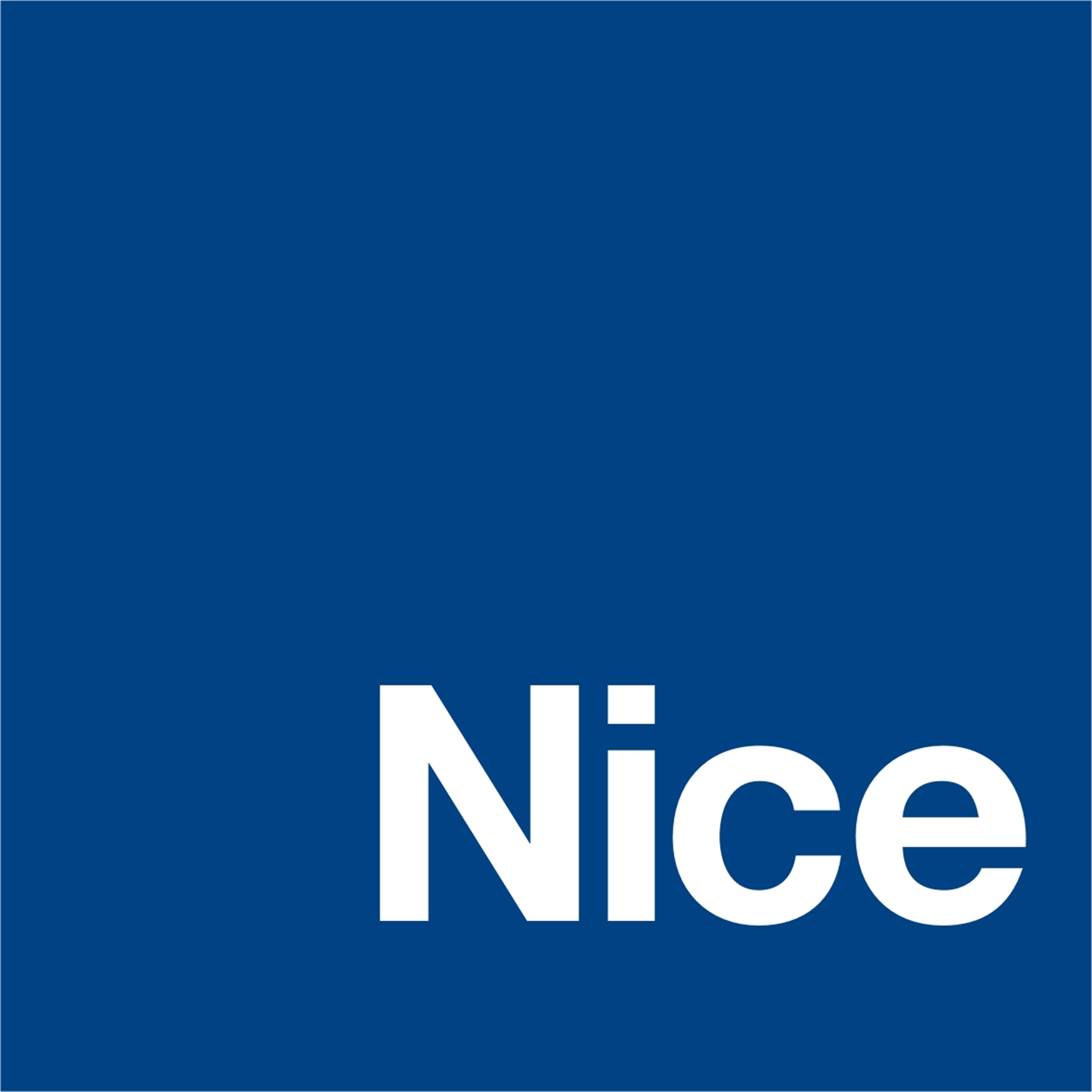 Nice corporate logo
